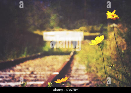 Blumen und Unkraut am Ende eines verlassenen alten Bahnstrecke. Jahrgang, Grunge texturiert und retro getonten Bild. Stockfoto