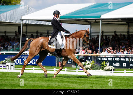 Stamford, Großbritannien. 01 Sep, 2017. 1. September 2017. Andrew Nicholson (NZL) Reiten Dressur Nereo während der Phase der Land Rover Burghley Horse Trials 2017, Stamford, Vereinigtes Königreich. Credit: Jonathan Clarke/Alamy leben Nachrichten Stockfoto