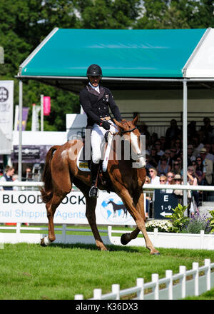 Stamford, Großbritannien. 01 Sep, 2017. 1. September 2017. Andrew Nicholson (NZL) Reiten Dressur Nereo während der Phase der Land Rover Burghley Horse Trials 2017, Stamford, Vereinigtes Königreich. Credit: Jonathan Clarke/Alamy leben Nachrichten Stockfoto