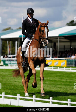 Stamford, Großbritannien. 01 Sep, 2017. 1. September 2017. Andrew Nicholson (NZL) Reiten Dressur Nereo während der Phase der Land Rover Burghley Horse Trials 2017, Stamford, Vereinigtes Königreich. Credit: Jonathan Clarke/Alamy leben Nachrichten Stockfoto