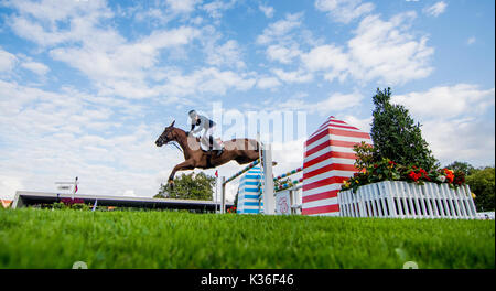 Gijon, Spanien. 1. Sep 2017. Edward Abgabe (Frankreich) mit Rafale d'Hyverniere während der Pferderennen Springreiten der CSIO Gijon in Las Mestas Center am 1. September 2017 in Gijon, Spanien. Quelle: David Gato/Alamy leben Nachrichten Stockfoto