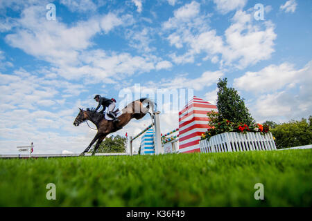 Gijon, Spanien. 1. Sep 2017. Cameron Hanley (Irland) mit Aiyetoro während der Pferderennen Springreiten der CSIO Gijon in Las Mestas Center am 1. September 2017 in Gijon, Spanien. Quelle: David Gato/Alamy leben Nachrichten Stockfoto