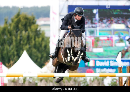 Gijon, Spanien. 1. Sep 2017. David Simpson (Irland) mit Starfighter während der Pferderennen Springreiten der CSIO Gijon in Las Mestas Center am 1. September 2017 in Gijon, Spanien. Quelle: David Gato/Alamy leben Nachrichten Stockfoto