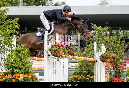 Gijon, Spanien. 1. Sep 2017. David Simpson (Irland) mit Starfighter während der Pferderennen Springreiten der CSIO Gijon in Las Mestas Center am 1. September 2017 in Gijon, Spanien. Quelle: David Gato/Alamy leben Nachrichten Stockfoto