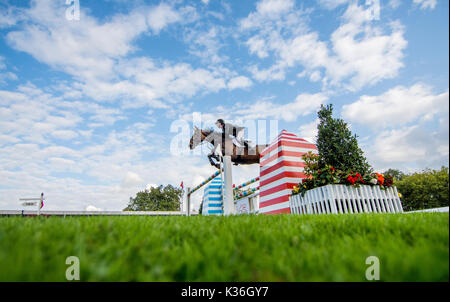 Gijon, Spanien. 1. Sep 2017. Cameron Hanley (Irland) mit Aiyetoro während der Pferderennen Springreiten der CSIO Gijon in Las Mestas Center am 1. September 2017 in Gijon, Spanien. Quelle: David Gato/Alamy leben Nachrichten Stockfoto