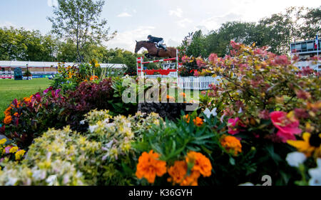 Gijon, Spanien. 1. Sep 2017. Rowan Willis (Australien) mit Shark während der Pferderennen Springreiten der CSIO Gijon in Las Mestas Center am 1. September 2017 in Gijon, Spanien. Quelle: David Gato/Alamy leben Nachrichten Stockfoto