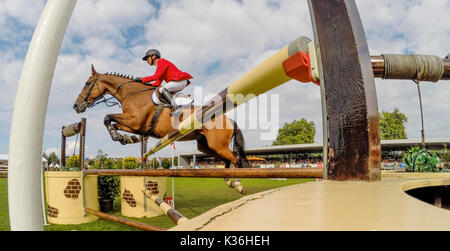 Gijon, Spanien. 1. Sep 2017. Ein Reiter während der Pferderennen Springreiten der CSIO Gijon in Las Mestas Center am 1. September 2017 in Gijon, Spanien. Quelle: David Gato/Alamy leben Nachrichten Stockfoto