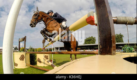 Gijon, Spanien. 1. Sep 2017. Ein Reiter während der Pferderennen Springreiten der CSIO Gijon in Las Mestas Center am 1. September 2017 in Gijon, Spanien. Quelle: David Gato/Alamy leben Nachrichten Stockfoto