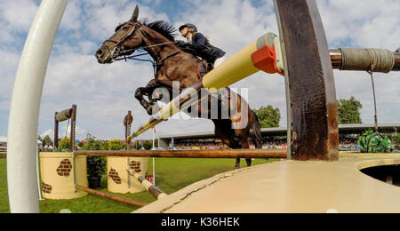 Gijon, Spanien. 1. Sep 2017. Ein Reiter während der Pferderennen Springreiten der CSIO Gijon in Las Mestas Center am 1. September 2017 in Gijon, Spanien. Quelle: David Gato/Alamy leben Nachrichten Stockfoto