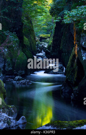 Die mystischen und magischen Fairy Glen oder Waliser Ffos Noddun in der verborgenen tiefe Schlucht des Flusses Conwy in Nord Wales in der Nähe von Betwys-y-Coed Stockfoto