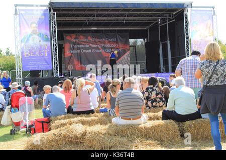 Orsett, Essex, Großbritannien - 2 May 2017 - Essex, Orsett Land zeigen im Bild. Credit: Darren Attersley./Alamy leben Nachrichten Stockfoto