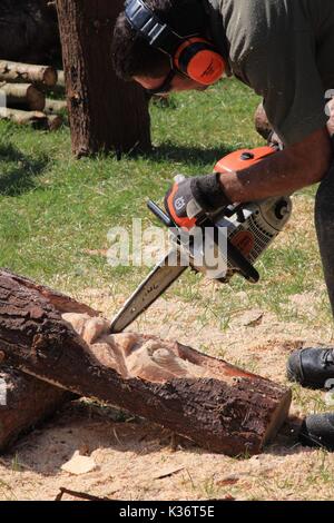 Orsett, Essex, Großbritannien - 2 May 2017 - Essex, Orsett Land zeigen im Bild. Credit: Darren Attersley./Alamy leben Nachrichten Stockfoto