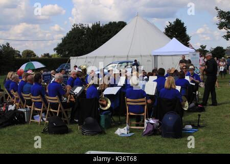 Orsett, Essex, Großbritannien - 2 May 2017 - Essex, Orsett Land zeigen im Bild. Credit: Darren Attersley./Alamy leben Nachrichten Stockfoto