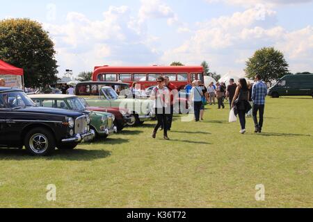 Orsett, Essex, Großbritannien - 2 May 2017 - Essex, Orsett Land zeigen im Bild. Credit: Darren Attersley./Alamy leben Nachrichten Stockfoto