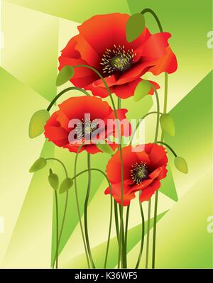 Schöne helle Farben Mohnblumen mit Knospen und Samenkapseln Stock Vektor