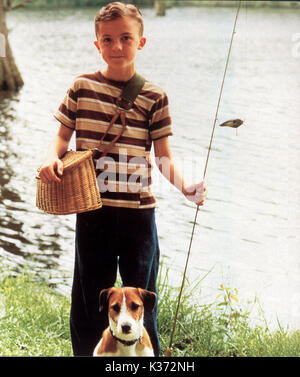 Mein Hund SKIP WARNER BROS FRANKIE MUNIZ Datum: 2000 Stockfoto