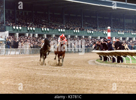 SEABISCUIT COPYRIGHT: UNIVERSAL PICTURES/DREAMWORKS LLC GARY STEVENS, CHRIS MCCARRON SEABISCUIT COPYRIGHT: UNIVERSAL PICTURES/DREAMWORKS LLC GARY STEVENS, CHRIS MCCARRON Datum: 2003 Stockfoto