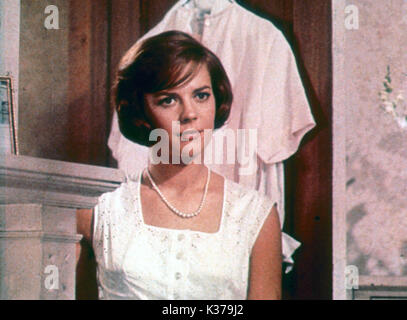 PRACHT IM GRAS ALIAS SPLENDOUR IM GRAS WARNER BROS NATALIE HOLZ PRACHT IM GRAS ALIAS SPLENDOUR IM GRAS WARNER BROS NATALIE HOLZ Datum: 1961 Stockfoto