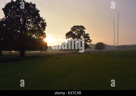 Foto muss Gutgeschrieben © Alpha Presse 066465 30/10/2016 Allgemeine Ansichten werden auf den Sonnenuntergang im Richmond Park, Richmond upon Thames, London. Stockfoto