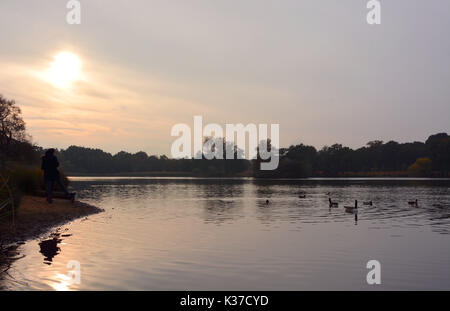 Foto muss Gutgeschrieben © Alpha Presse 066465 30/10/2016 Allgemeine Ansichten werden auf den Sonnenuntergang im Richmond Park, Richmond upon Thames, London. Stockfoto