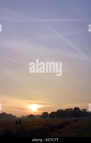 Foto muss Gutgeschrieben © Alpha Presse 066465 30/10/2016 Allgemeine Ansichten werden auf den Sonnenuntergang im Richmond Park, Richmond upon Thames, London. Stockfoto