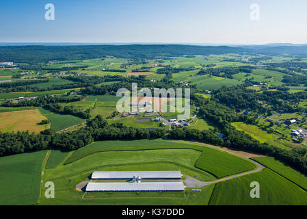 2016 herausragende MITWIRKENDER PREISGEKRÖNTE FARM, Manheim PA Stockfoto