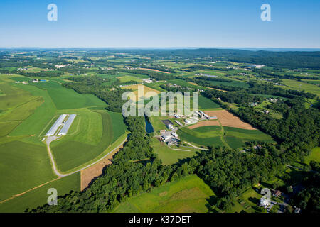 2016 herausragende MITWIRKENDER PREISGEKRÖNTE FARM, Manheim PA Stockfoto