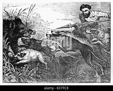 Mittelalterliche Jäger Holding einen Speer und seine Hunde gegen ein Wildschwein versteckt sich in einem Busch mit seinen Welpen. Alte Illustration von unbekannter Autor auf Magasin Pittoresque Paris 1834 veröffentlicht. Stockfoto