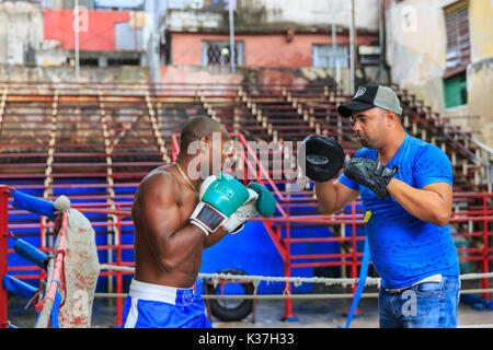 Junge boxer Yoendis Castillo in Ausbildung bei Gimnasio Rafael Trejo Boxing Gym und Veranstaltungsort, Havanna Stockfoto