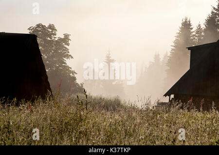 Am frühen Morgen Berglandschaft in der vorderen Beleuchtung, Silhouetten von Holzhäuser und taunassen Gras im Vordergrund, Wald und Berge in der Dee Stockfoto