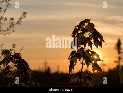 Die tolle Wanderung! Stockfoto