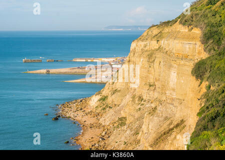 Von Ecclesbourne Glen über den Anblick der vorgeschlagenen Marina Entwicklung in den englischen Kanal nach Hastings Beach Stockfoto