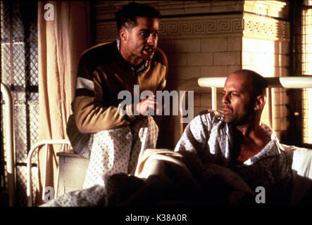 TWELVE MONKEYS BRAD PITT UND BRUCE WILLIS AN ATLAS ENTERTAINMENT TWELVE MONKEYS BRAD PITT UND BRUCE WILLIS AN ATLAS ENTERTAINMENT Datum: 1995 Stockfoto