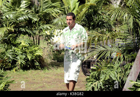 50 erste Dates DREW BARRYMORE UND ADAM SANDLER Datum: 2004 Stockfoto