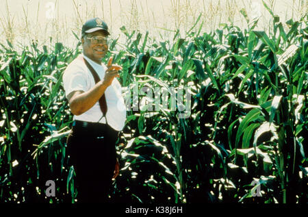 Feld der Träume James Earl Jones Datum: 1989 Stockfoto