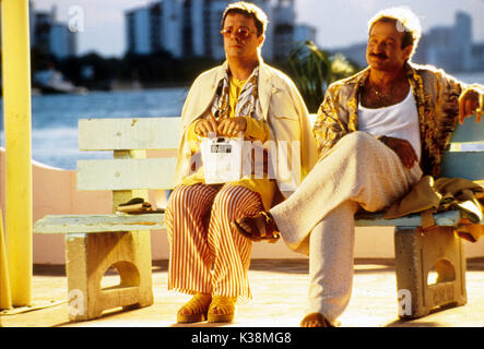 Der SICHERHEITSBEHÄLTER NATHAN LANE, Robin Williams Datum: 1996 Stockfoto
