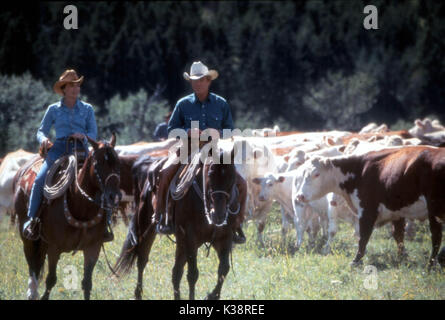 Der PFERDEFLÜSTERER KRISTEN SCOTT THOMAS, Robert Redford Datum: 1998 Stockfoto