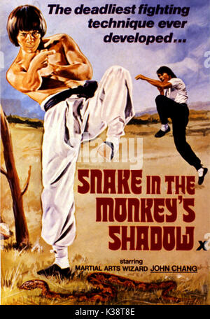 Schlange IN DER AFFE SCHATTEN [HONG KONG 1979] Plakat SCHLANGE IM SCHATTEN [DER AFFE HK 1979] aka SNAKE FAUST VS. Der Drache Datum: 1979 Stockfoto