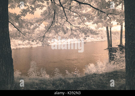 Spiegelungen im Wasser in der Landschaft Sommer. Infrarot Bild mit weißen Bäume in den Ufer des Flusses - Vintage Effekt Stockfoto