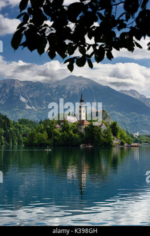 Paddleboarder auf den Bleder See mit Maria Himmelfahrt Kirche auf der Insel und die St. Martin Kirche und Veliki Stol-peak Karawanks berge Slowenien Stockfoto