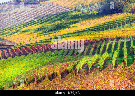Erstaunlich bunten Herbst Weinberge von Piemont - weinstock Region in Italien Stockfoto