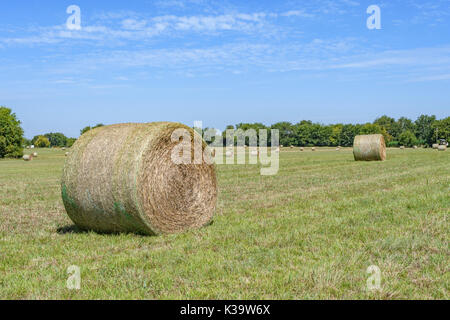 Spätsommer rollt der Heuballen auf einem Grasfeld in Pike Road, Alabama, USA. Stockfoto