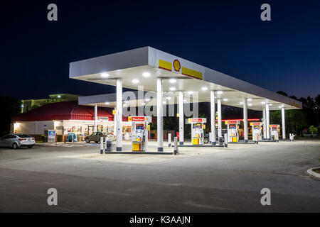 Florida, Palm Coast, Shell Gas, Tankstelle, Benzin, Supermarkt, Pumpen, Überdachung, Beleuchtung, Nacht, Besucher reisen Reise Tour Tourist Tour Stockfoto