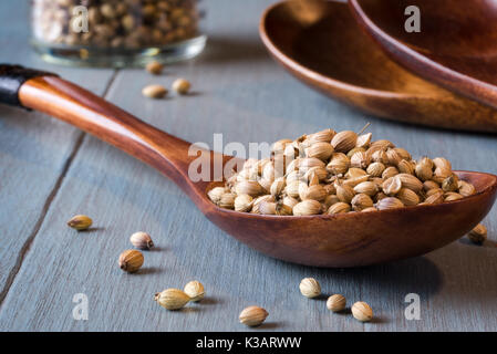 Koriandersamen Stockfoto