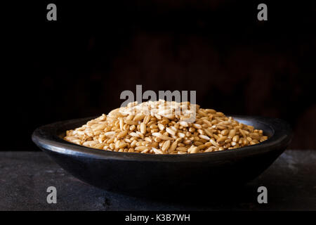 Hafer (Avena sativa) Körner in einer traditionellen schwarzen Ton Teller Stockfoto