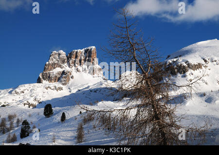 Monte averau im Winter, dem höchsten Berg des nuvolau Gruppe in den Dolomiten in der Provinz Belluno, Veneto, Italien Stockfoto