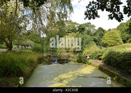 Sefton Park, Liverpool Stockfoto