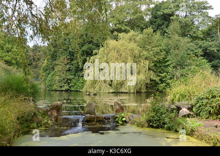 Sefton Park, Liverpool Stockfoto