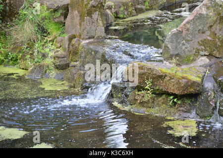 Sefton Park, Liverpool Stockfoto