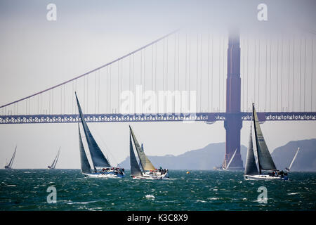 Viele Segelboote racing in allen Winkeln in Richtung Boje unter der Golden Gate Bridge Stockfoto